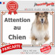Colley fauve, plaque portail "Attention au Chien" pancarte panneau photo, Berger d'Ecosse marron Lassie