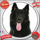 Berger Belge Groenendael, sticker rond "photo" disque adhési autocollant vitre voiture race chien noir