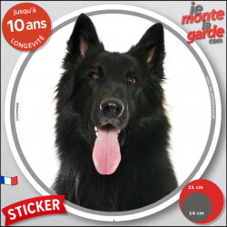 Berger Belge Groenendael, sticker rond extérieur "photo" 2 tailles D
