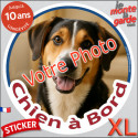 Photo Personnalisable, Disque autocollant voiture XL "Chien à Bord" 21 cm
