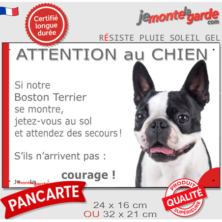 Boston Terrier noir et blanc, plaque portail humour "Attention au Chien, Jetez Vous au Sol, attendez secours, courage" photo, ré