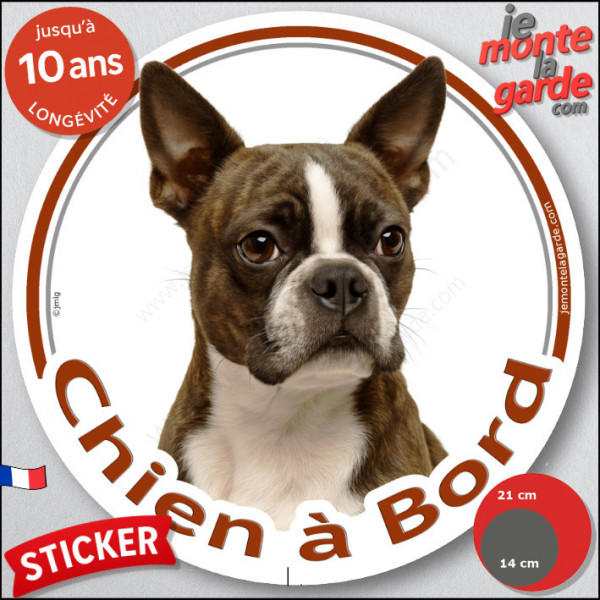 Boston Terrier bringé et blanc, sticker autocollant rond "Chien à Bord" Disque adhésif vitre voiture photo