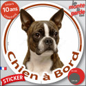 Boston Terrier bringé, sticker autocollant rond "Chien à Bord" 2 Tailles voiture D