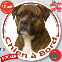 Bouledogue Américain bringé, sticker voiture rond voiture "Chien à Bord" 2 tailles D