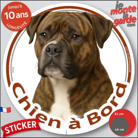 Bouledogue Américain bringé, sticker autocollant rond "Chien à Bord" Disque adhésif vitre voiture, Bulldog photo Boulam, résiste
