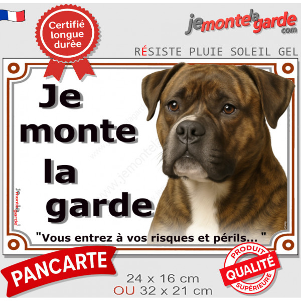 Bouledogue Américain bringé, plaque portail "Je Monte la Garde, risques et périls" pancarte panneau bulldog zébré photo