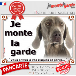 Braque de Weimar Tête, plaque portail "Je Monte la Garde, risques périls" panneau photo affiche pancarte, attention au chien
