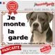 Bouledogue Américain gris bleu, plaque portail "Je Monte la Garde, risques et périls" pancarte panneau bulldog photo