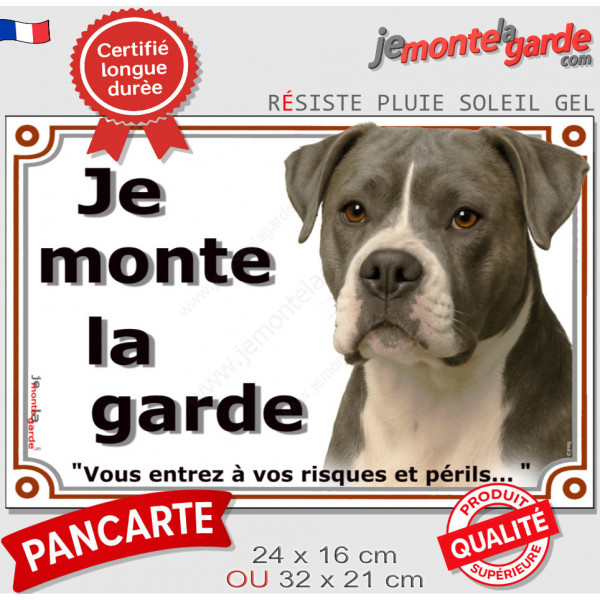 Bouledogue Américain gris bleu, plaque portail "Je Monte la Garde, risques et périls" pancarte panneau bulldog photo