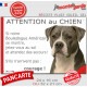 Bouledogue Américain bleu gris, plaque portail humour "Attention au chien, Jetez Vous au Sol, courage" pancarte photo Boulam