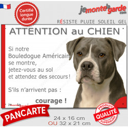 Bouledogue Américain bleu gris, plaque portail humour "Attention au chien, Jetez Vous au Sol, courage" pancarte photo Boulam