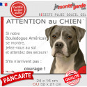 Bouledogue Américain bleu gris, plaque portail humour "Attention au Chien, Jetez Vous au Sol" 2 tailles D