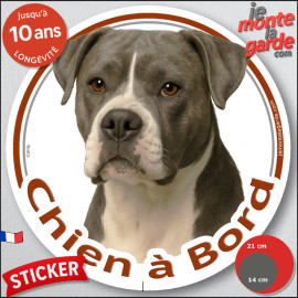 Bouledogue Américain bleu gris, sticker autocollant rond "Chien à Bord" Disque adhésif vitre voiture, Bulldog photo Boulam, rési