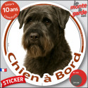 Bouvier des Flandres, sticker voiture rond photo "Chien à Bord" 2 tailles D