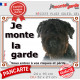 Bouvier des Flandres, plaque portail extérieur "Je Monte la Garde, risques périls" pancarte photo noir attention au chien