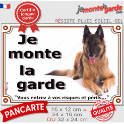 Berger Belge Tervueren, Plaque portail "Je Monte la Garde, risques et périls" pancarte affiche panneau photo attention au chien