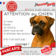 Boxer Fauve, plaque portail humour "Attention au Chien, Jetez Vous au Sol, attendez des secours, courage !" marrant photo