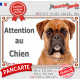 Boxer fauve, plaque portail "Attention au Chien" pancarte panneau photo Boxer marron orange