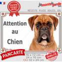 Boxer fauve, plaque extérieure photo "Attention au Chien" 3 tailles LUX D