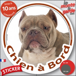 American Bully Red Nose fauve, sticker autocollant voiture rond "Chien à Bord" Disque adhésif photo