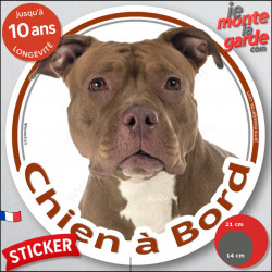American Bully Red Nose fauve, sticker autocollant voiture rond "Chien à Bord" Disque adhésif photo