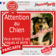 Photo personnalisable, pancarte portail rouge vif "Attention au Chien, risques périls" look plaque de rue extérieure fluo