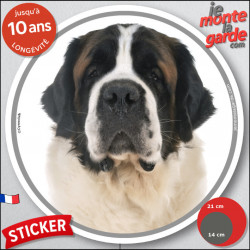 Saint-Bernard, disque autocollant rond extérieur "photo" 2 tailles D