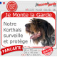 Griffon Korthals tête, plaque portail rouge "Je Monte la Garde, surveille et protège" pancarte panneau photo