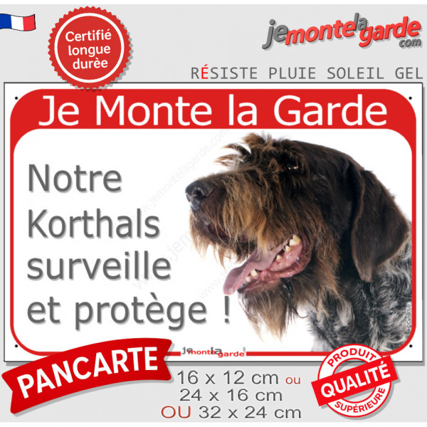 Griffon Korthals tête, plaque portail rouge "Je Monte la Garde, surveille et protège" pancarte panneau photo