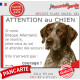 Braque Allemand marron foie, plaque humour "Attention au Chien, Jetez Vous au Sol, attendez secours, courage" pancarte photo