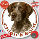 Braque Allemand marron, sticker voiture rond "Chien à Bord" 2 tailles D