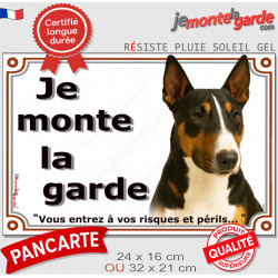 Bull Terrier tricolore Tête, plaque portail "Je Monte la Garde, risques et périls" panneau pancarte attention au chien photo