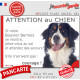 Bouvier Bernois, Panneau portail humour "Attention au Chien, semontre, jetez-vous sol, attendez secours, courage" plaque photo