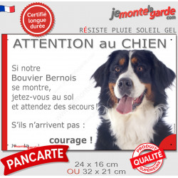 Bouvier Bernois, Panneau portail humour "Attention au Chien, semontre, jetez-vous sol, attendez secours, courage" plaque photo