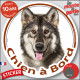 Inuit du Nord, disque photo autocollant "Chien à Bord" Sticker adhésif rond vitre voiture Northern Inuit