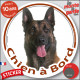 Berger Belge Malinois sombre foncé, sticker autocollant rond "Chien à Bord" Disque adhésif vitre voiture photo