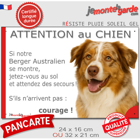 Berger Australien rouge merle yeux ambre, plaque portail humour "Attention au Chien, Jetez Vous au Sol" pancarte photo Aussie