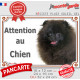 Spitz noir, plaque portail "Attention au Chien" pancarte Loulou Poméranien photo spitz nain résiste intempéries