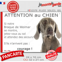 Braque de Weimar, Panneau humour "Attention au Chien, se montre, Jetez Vous au Sol, attendez secours, courage" photo