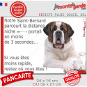 Saint-Bernard, plaque humour "distance Niche - Portail 3 secondes" 2 tailles 3SEC D