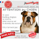 Bulldog Anglais tricolore, plaque portail humour "Attention au Chien, Jetez Vous au Sol, attendez secours, courage" photo