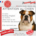 Bulldog Anglais tricolore, plaque extérieure humour "Attention au Chien, Jetez Vous au Sol" 2 tailles JET D