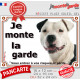 Amstaff blanc et noir, plaque portail "Je Monte la Garde, risques et périls" panneau pancarte photo