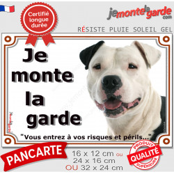 Amstaff blanc et noir, plaque portail "Je Monte la Garde, risques et périls" panneau pancarte photo