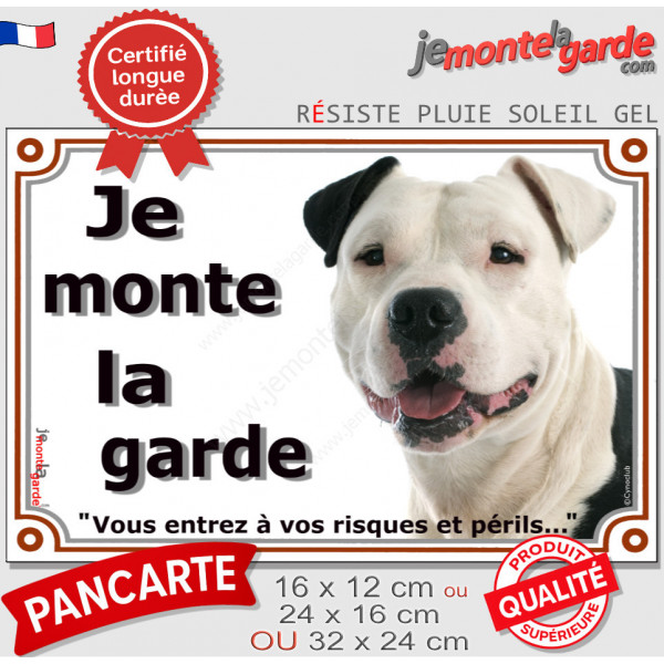 Amstaff blanc et noir, plaque portail "Je Monte la Garde, risques et périls" panneau pancarte photo