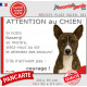 Basenji bringé, pancarte portail humour "Attention au Chien, Jetez Vous au Sol, attendez secours, courage" photo bassenji zébré