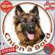 Berger Allemand poils longs, sticker autocollant rond "Chien à Bord" Disque adhésif voiture auto photo