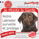 Labrador Chocolat tête, Panneau Portail rouge "Je Monte la Garde, surveille protège" affiche plaque pancarte marron brun photo
