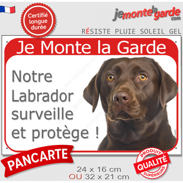 Labrador Chocolat tête, Panneau Portail rouge "Je Monte la Garde, surveille protège" affiche plaque pancarte marron brun photo