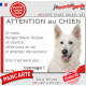 Berger Blanc Suisse, plaque portail humour "Attention au Chien, jetez-vous au sol, secours, courage" BBS photo